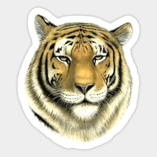 Tiger, symbol of the year. Sticker